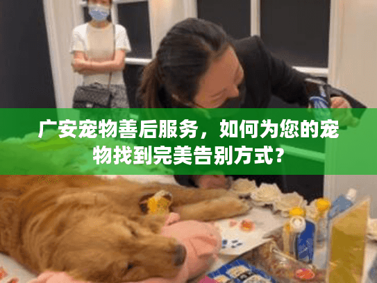 广安宠物善后服务，如何为您的宠物找到完美告别方式？