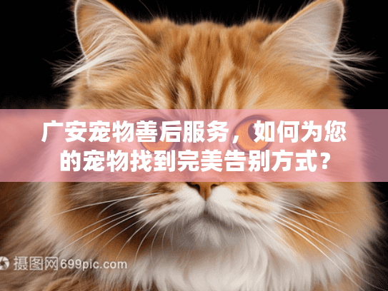 广安宠物善后服务，如何为您的宠物找到完美告别方式？