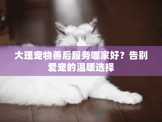 大理宠物善后服务哪家好?告别爱宠的温暖选择 大理宠物善后服务哪家好?告别爱宠的温暖选择