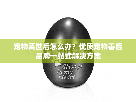 宠物离世后怎么办？优质宠物善后品牌一站式解决方案