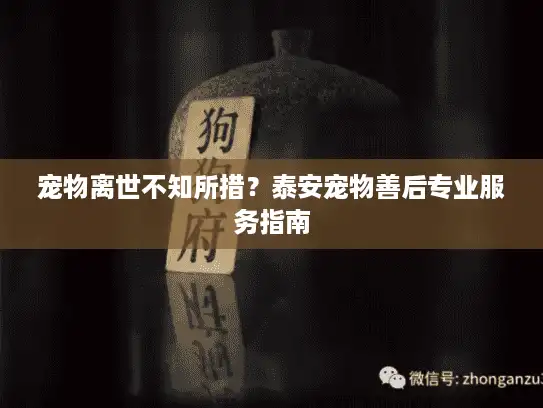 宠物离世不知所措？泰安宠物善后专业服务指南