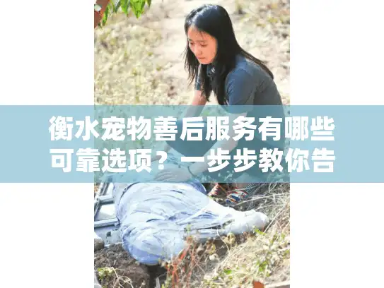 衡水宠物善后服务有哪些可靠选项？一步步教你告别爱宠