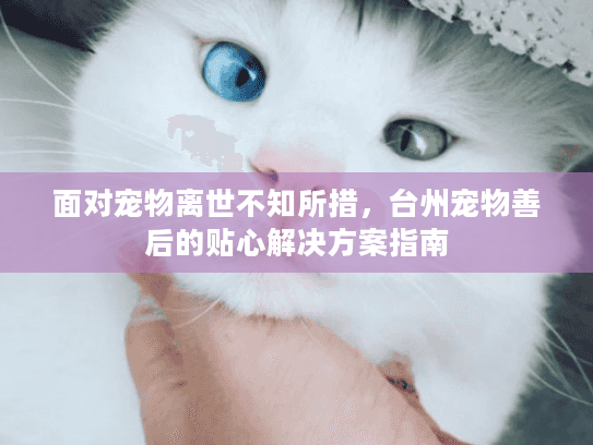面对宠物离世不知所措，台州宠物善后的贴心解决方案指南