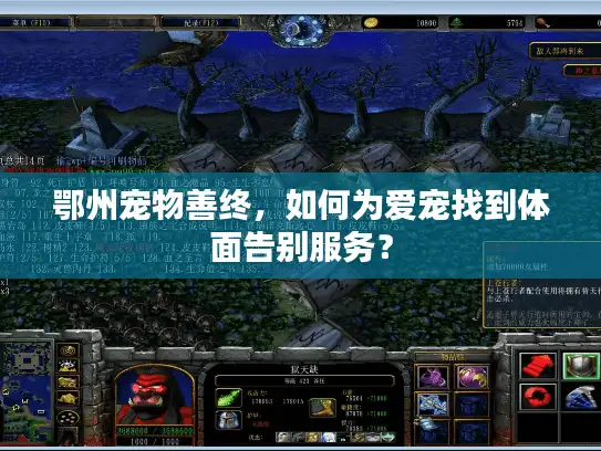 鄂州宠物善终，如何为爱宠找到体面告别服务？