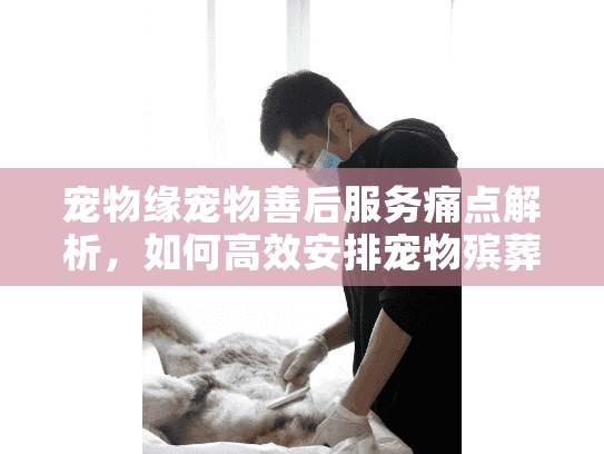 宠物缘宠物善后服务痛点解析,如何高效安排宠物殡葬告别? 宠物缘宠物善后服务痛点解析,如何高效安排宠物殡葬告别?