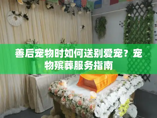 善后宠物时如何送别爱宠？宠物殡葬服务指南