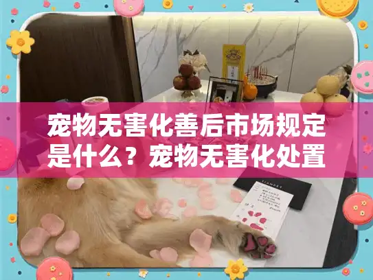 宠物无害化善后市场规定是什么？宠物无害化处置流程详解指南