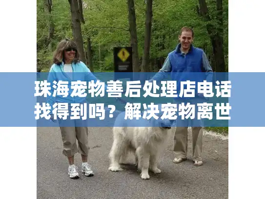 珠海宠物善后处理店电话找得到吗？解决宠物离世的难题