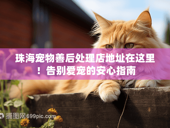 珠海宠物善后处理店地址在这里!告别爱宠的安心指南 珠海宠物善后处理店地址在这里!告别爱宠的安心指南