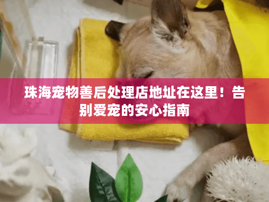 珠海宠物善后处理店地址在这里!告别爱宠的安心指南 珠海宠物善后处理店地址在这里!告别爱宠的安心指南