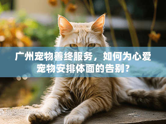 广州宠物善终服务，如何为心爱宠物安排体面的告别？