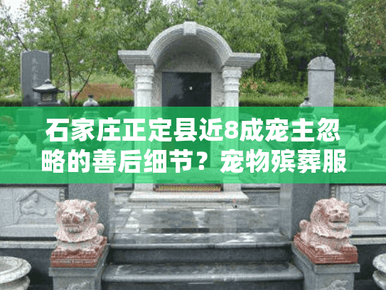石家庄正定县近8成宠主忽略的善后细节？宠物殡葬服务避坑指南