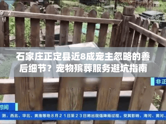 石家庄正定县近8成宠主忽略的善后细节？宠物殡葬服务避坑指南
