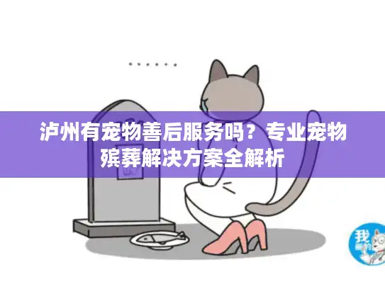 泸州有宠物善后服务吗？专业宠物殡葬解决方案全解析