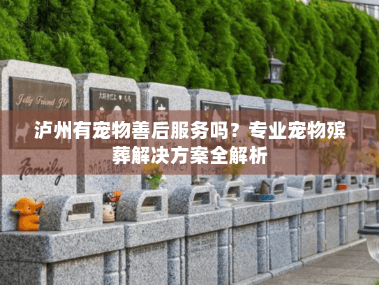 泸州有宠物善后服务吗？专业宠物殡葬解决方案全解析