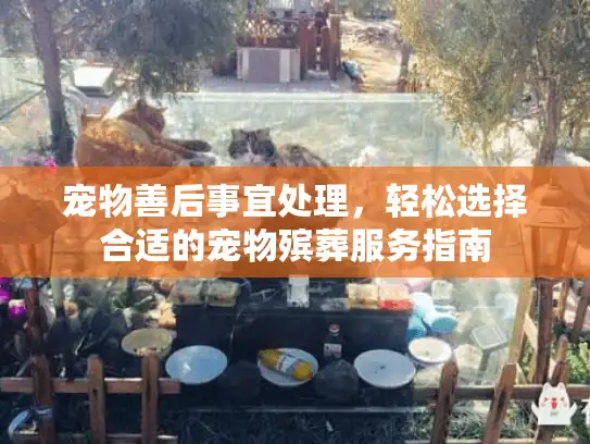 宠物善后事宜处理，轻松选择合适的宠物殡葬服务指南