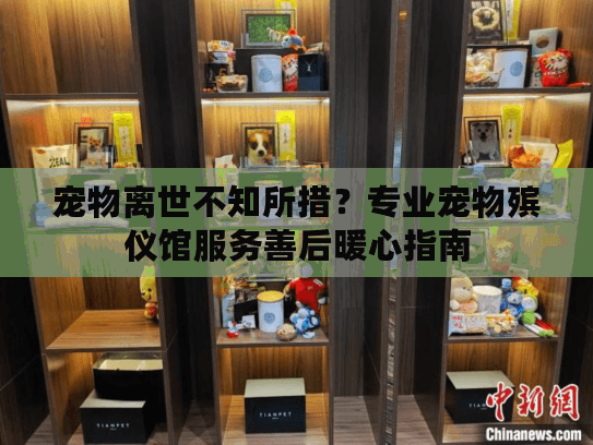 宠物离世不知所措?专业宠物殡仪馆服务善后暖心指南 宠物离世不知所措?专业宠物殡仪馆服务善后暖心指南