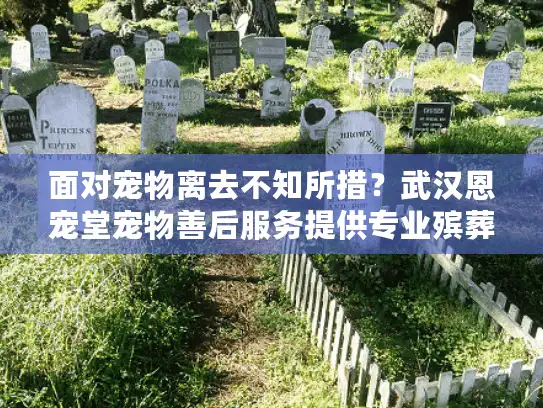 面对宠物离去不知所措？武汉恩宠堂宠物善后服务提供专业殡葬方案
