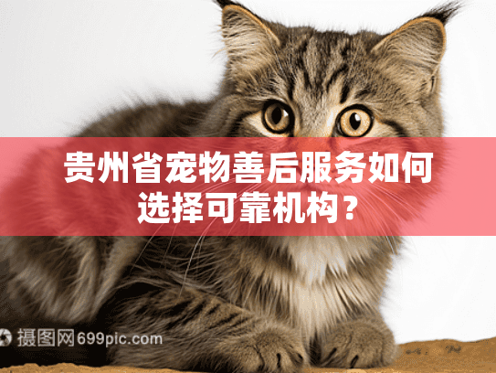 贵州省宠物善后服务如何选择可靠机构？