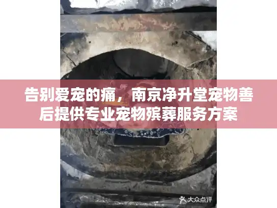 告别爱宠的痛，南京净升堂宠物善后提供专业宠物殡葬服务方案