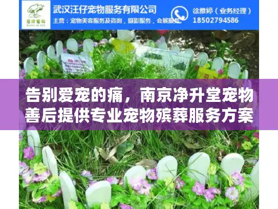 告别爱宠的痛，南京净升堂宠物善后提供专业宠物殡葬服务方案