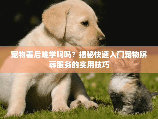 宠物善后难学吗吗？揭秘快速入门宠物殡葬服务的实用技巧