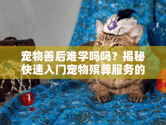 宠物善后难学吗吗？揭秘快速入门宠物殡葬服务的实用技巧