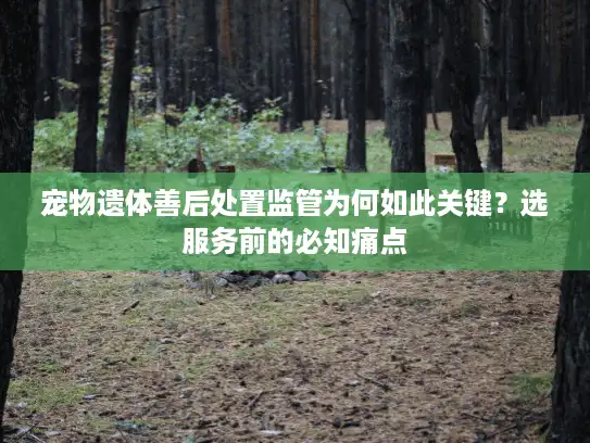 宠物遗体善后处置监管为何如此关键？选服务前的必知痛点