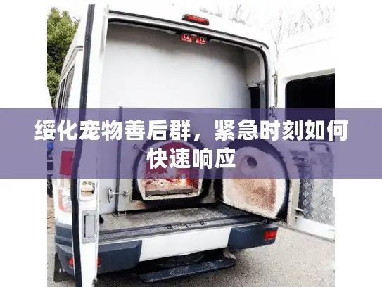 绥化宠物善后群，紧急时刻如何快速响应