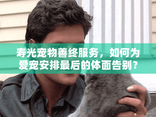 寿光宠物善终服务，如何为爱宠安排最后的体面告别？