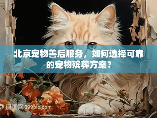 北京宠物善后服务,如何选择可靠的宠物殡葬方案? 北京宠物善后服务,如何选择可靠的宠物殡葬方案?