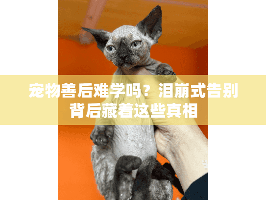 宠物善后难学吗?泪崩式告别背后藏着这些真相 宠物善后难学吗?泪崩式告别背后藏着这些真相