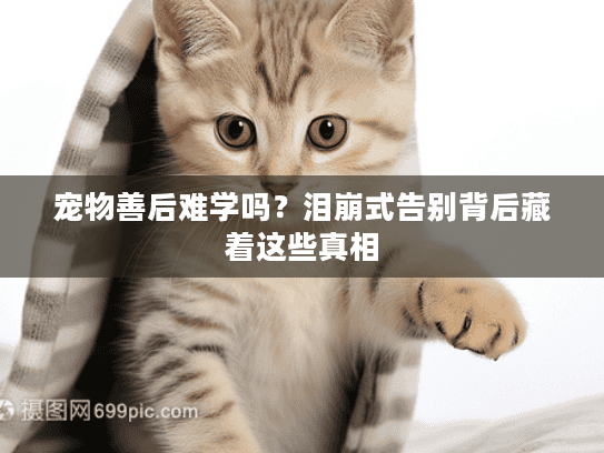 宠物善后难学吗?泪崩式告别背后藏着这些真相 宠物善后难学吗?泪崩式告别背后藏着这些真相