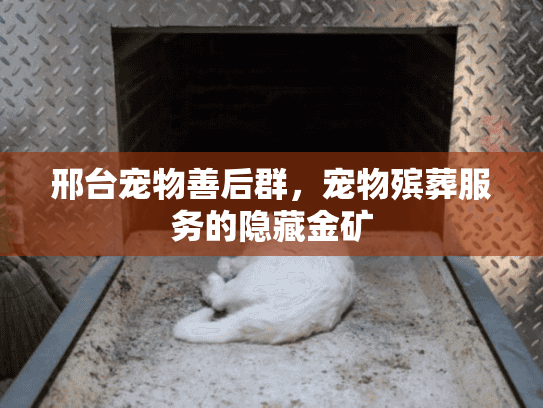 邢台宠物善后群,宠物殡葬服务的隐藏金矿 邢台宠物善后群,宠物殡葬服务的隐藏金矿