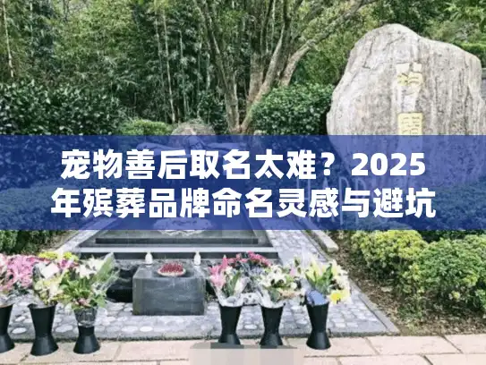 宠物善后取名太难?2025年殡葬品牌命名灵感与避坑清单 宠物善后取名太难?2025年殡葬品牌命名灵感与避坑清单