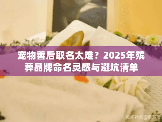 宠物善后取名太难?2025年殡葬品牌命名灵感与避坑清单 宠物善后取名太难?2025年殡葬品牌命名灵感与避坑清单