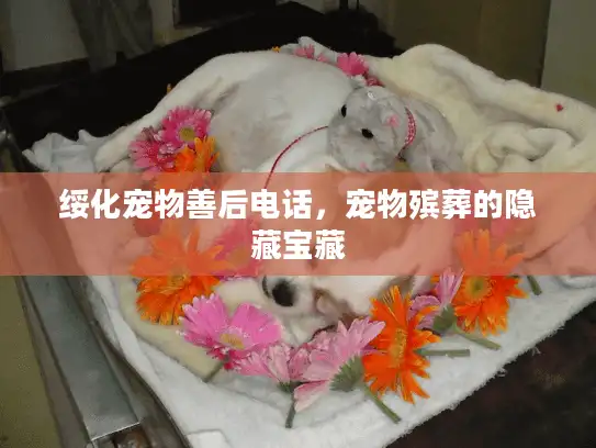 绥化宠物善后电话，宠物殡葬的隐藏宝藏