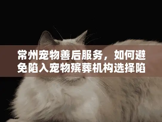 常州宠物善后服务，如何避免陷入宠物殡葬机构选择陷阱？