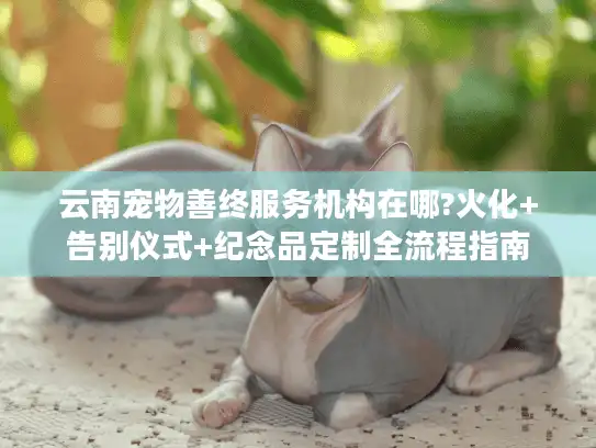 云南宠物善终服务机构在哪?火化+告别仪式+纪念品定制全流程指南