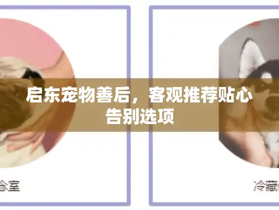 启东宠物善后，客观推荐贴心告别选项