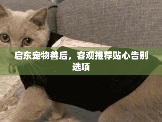 启东宠物善后，客观推荐贴心告别选项