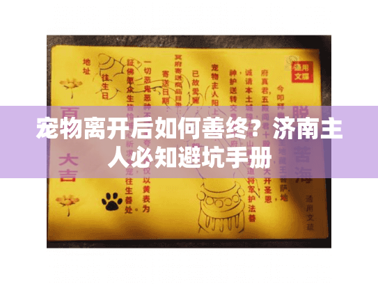 宠物离开后如何善终？济南主人必知避坑手册