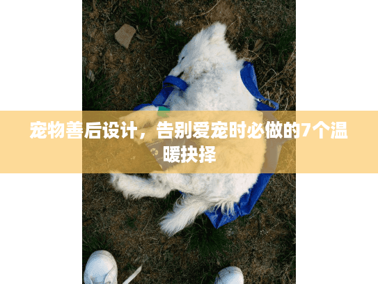 宠物善后设计，告别爱宠时必做的7个温暖抉择