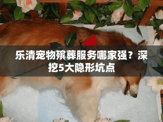 乐清宠物殡葬服务哪家强？深挖5大隐形坑点
