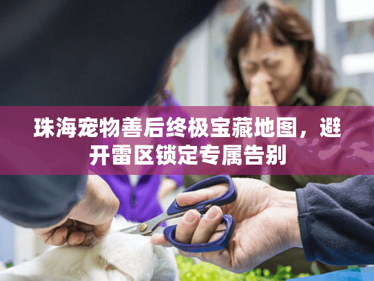 珠海宠物善后终极宝藏地图，避开雷区锁定专属告别