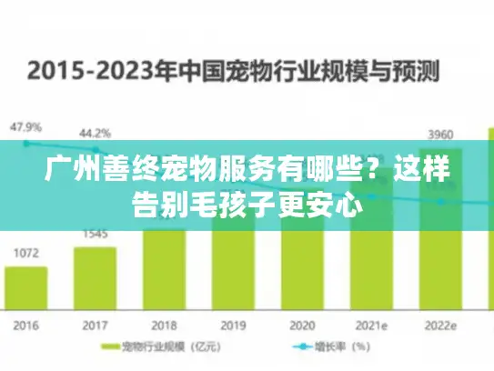 广州善终宠物服务有哪些？这样告别毛孩子更安心