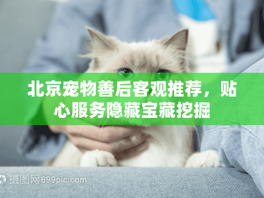 北京宠物善后客观推荐，贴心服务隐藏宝藏挖掘