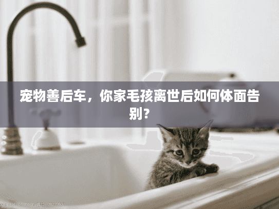 宠物善后车，你家毛孩离世后如何体面告别？
