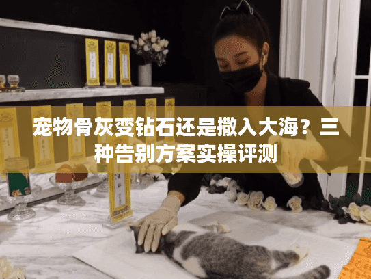 宠物骨灰变钻石还是撒入大海？三种告别方案实操评测