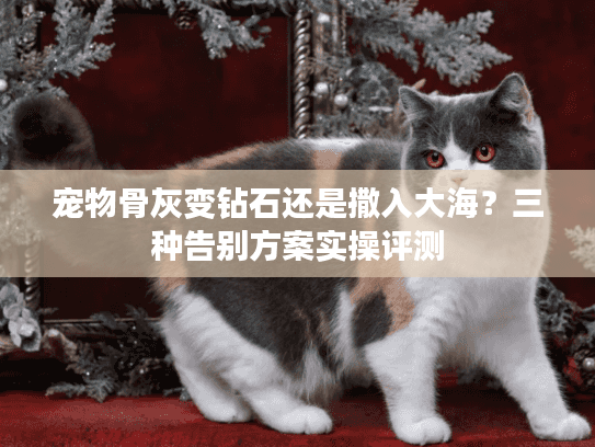 宠物骨灰变钻石还是撒入大海？三种告别方案实操评测